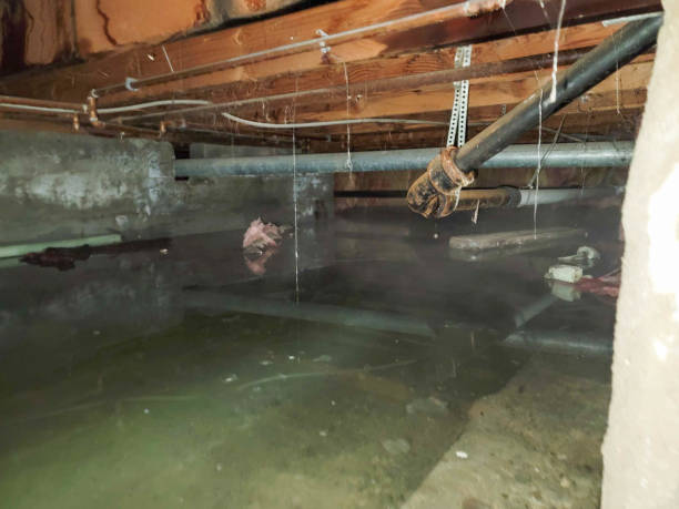 Carpet water damage restoration in VA