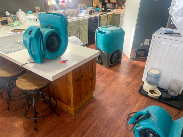 Best Flood damage cleanup  in Bethel Manor, VA