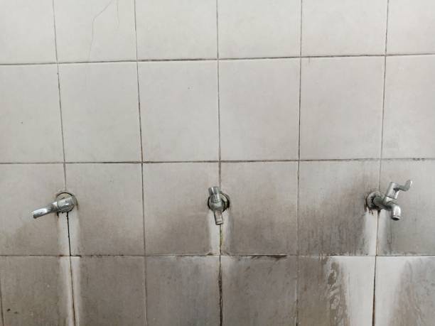 Best Flood restoration services  in Bethel Manor, VA
