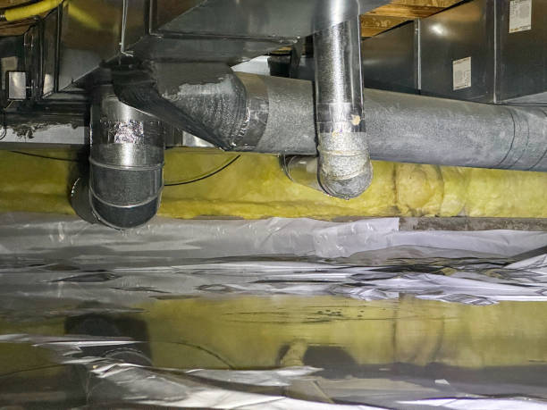 Best Ceiling water damage repair  in Bethel Manor, VA