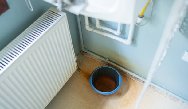 Best Carpet water damage restoration  in Bethel Manor, VA