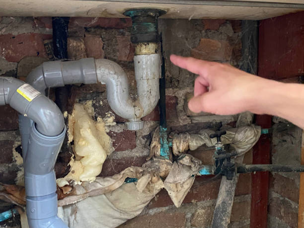 Best Water damage restoration near me  in Bethel Manor, VA