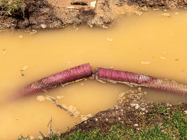  Bethel Manor, VA Water damage restoration Pros