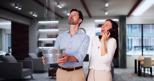 Best Professional water damage repair  in Bethel Manor, VA