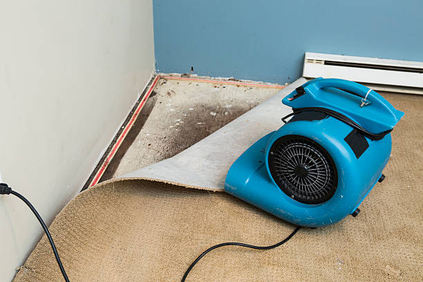 Best Local water damage restoration  in Bethel Manor, VA